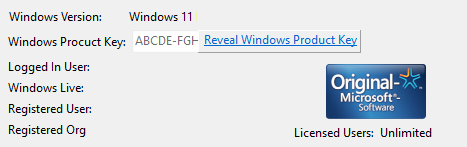 Windows Product Key Viewer animation